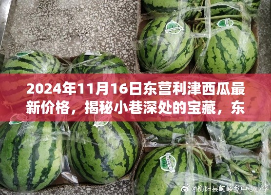 揭秘东营利津特色西瓜最新价格与故事,小巷深处的宝藏,2024年价格一览表