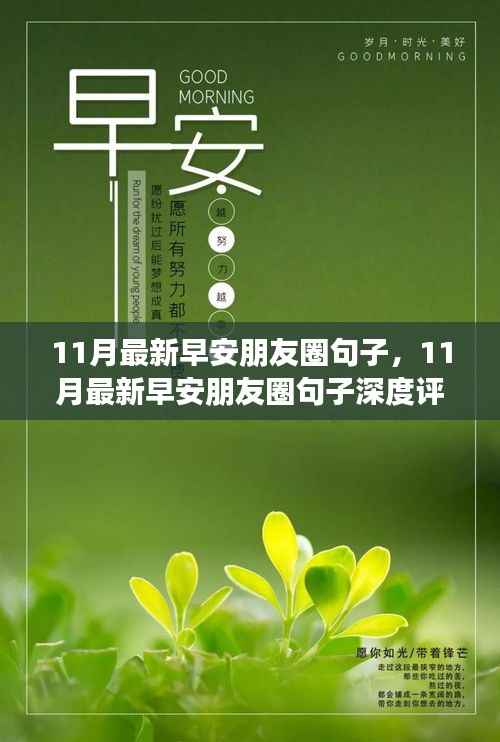 11月最新早安朋友圈句子,深度评测与介绍