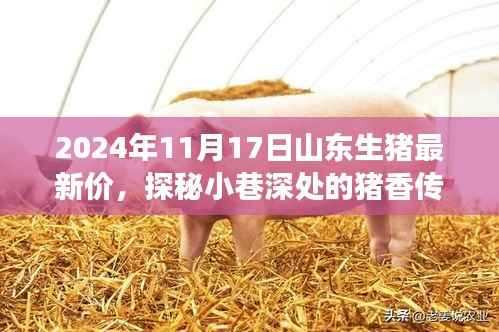 探秘山东小巷深处的猪香传奇,揭秘山东生猪最新价格与美食秘境的奥秘