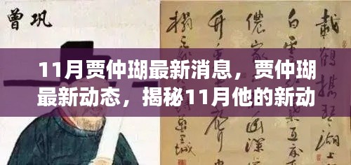 揭秘贾仲瑚11月最新动态与消息