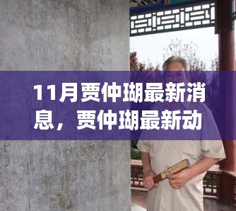 揭秘贾仲瑚11月最新动态与消息