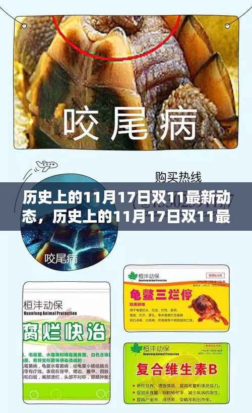 历史上的双11动态概览,揭秘双11最新动态与变迁的历程