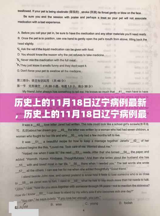 历史上的11月18日辽宁病例深度分析与最新评测