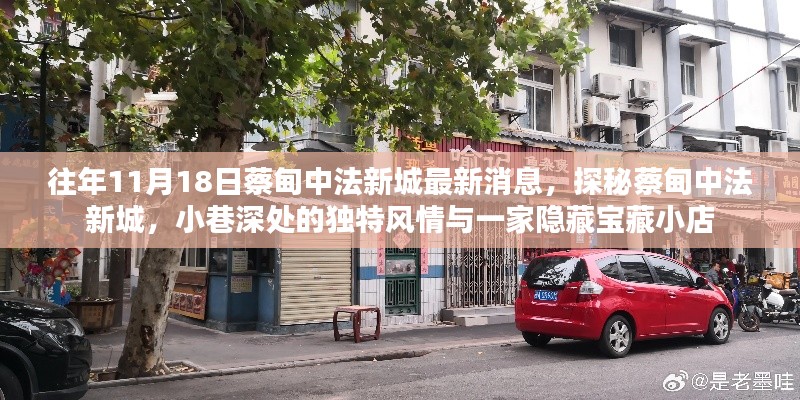 探秘蔡甸中法新城,小巷深处的独特风情与宝藏小店——最新消息汇总(往年1月)