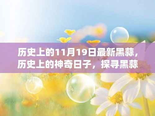 探寻黑蒜历史之旅,神奇日子下的心灵对话与最新黑蒜探寻