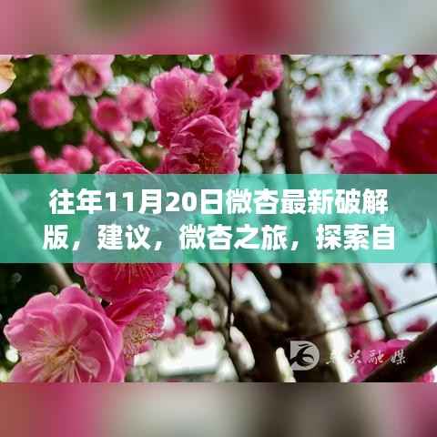 微杏之旅,探索自然美景之际需警惕违法犯罪风险,希望符合您的要求,您也可酌情调整。