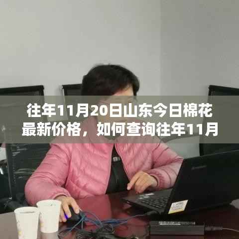 如何查询往年11月20日山东棉花最新价格,初学者快速掌握指南