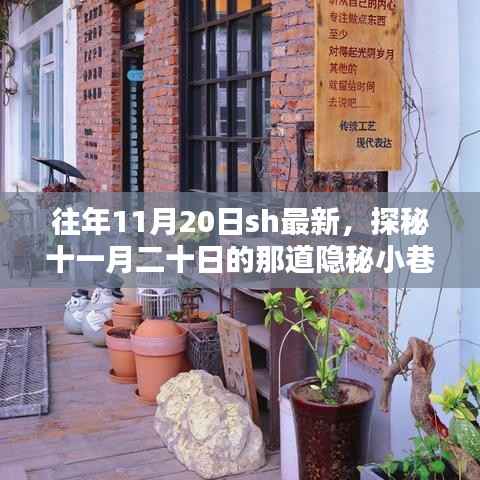 探秘十一月二十日隐秘小巷的特色小店魅力