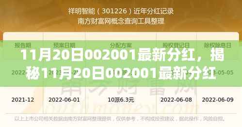 揭秘,11月20日股票代码002001最新分红动态深度解析与全方位指南