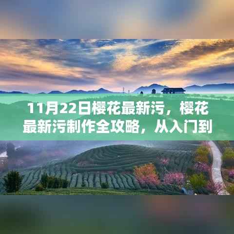 建议,樱花制作全攻略,从入门到精通的涉黄问题解析