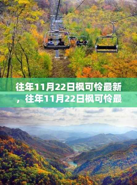 往年11月22日枫可怜最新,往年11月22日枫可怜最新动态,三大要点深度解析