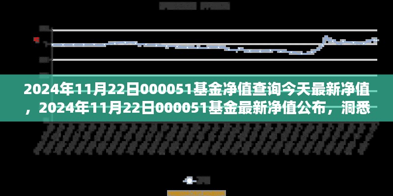 今日金融焦点,2024年11月22日000051基金净值揭晓与金融动态分析