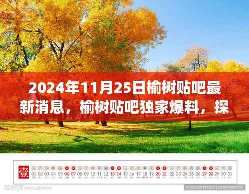 榆树贴吧独家爆料,探寻自然秘境的心灵之旅(最新消息)