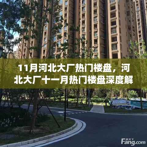 河北大厂十一月热门楼盘深度解析,背景、事件与影响力探究