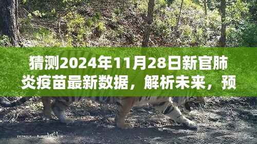 我的观点,解析未来——新冠疫苗最新数据预测与影响分析(2024年预测版)