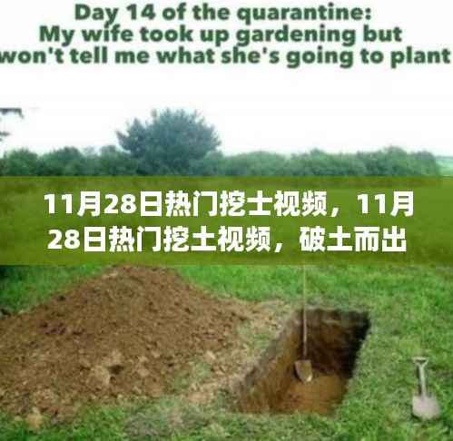 11月28日热门挖土视频,破土而出的力量与自信成就感的源泉
