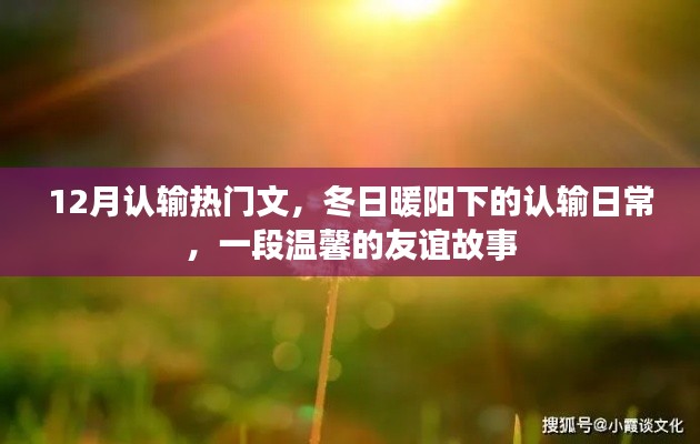 冬日暖阳下的认输日常,温馨的友谊故事