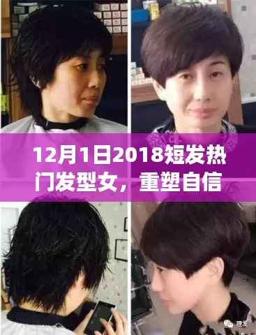 短发热门发型重塑女性自信与魅力,励志故事与成长之旅(2018年12月)