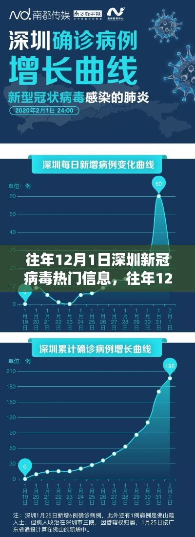 往年12月1日深圳新冠病毒热门信息详解,了解与应对的步骤指南