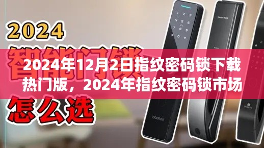 2024年指纹密码锁热门版本下载指南,市场最新趋势与选择
