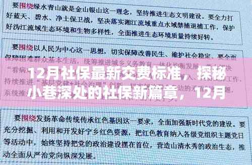 探秘社保新篇章,12月社保最新交费标准与特色小店观察