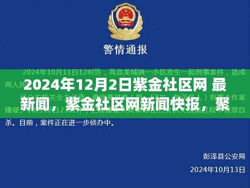 紫金社区网新闻快报,聚焦社区发展新动态,最新消息速递