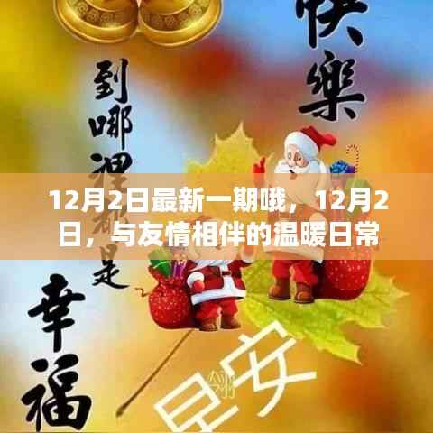 友情相伴的温暖日常,12月2日的温馨记录