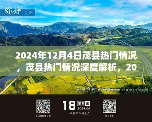 2024年12月4日茂县热门情况深度解析与概览