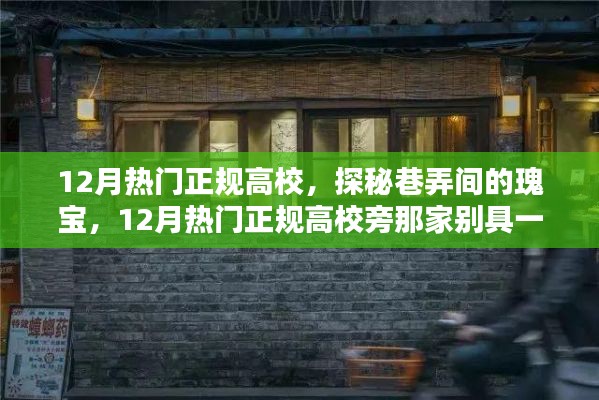 探秘巷弄间的瑰宝,十二月热门高校旁的小店风采