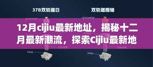 揭秘十二月最新潮流,探索Cijiu最新地址的独特魅力与时尚风采