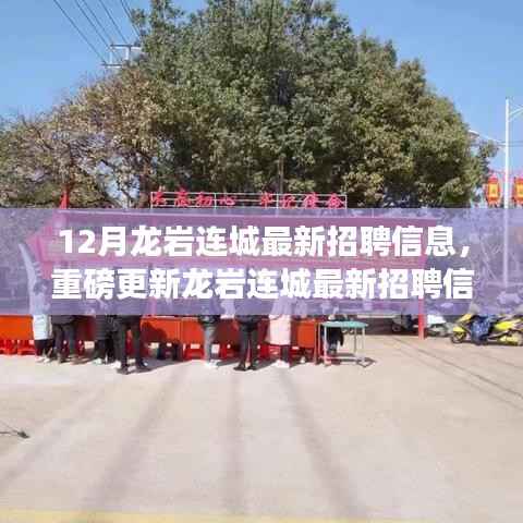 12月龙岩连城最新招聘信息,重磅更新龙岩连城最新招聘信息揭秘,引领时代新风向!