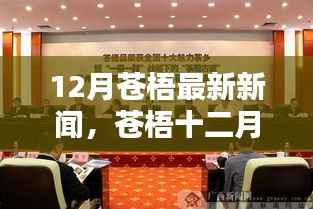 苍梧十二月,友情与温馨的日常新闻,最新本地资讯报道