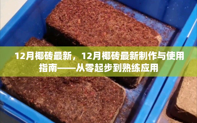 从零起步到熟练应用,12月椰砖最新制作与使用指南