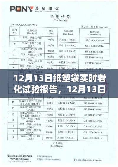 纸塑袋实时老化试验报告,全程指南与最新进展分析