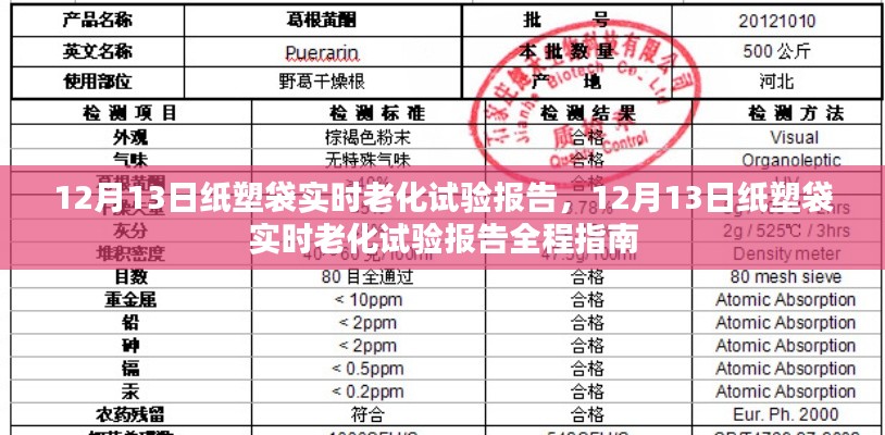 纸塑袋实时老化试验报告,全程指南与最新进展分析