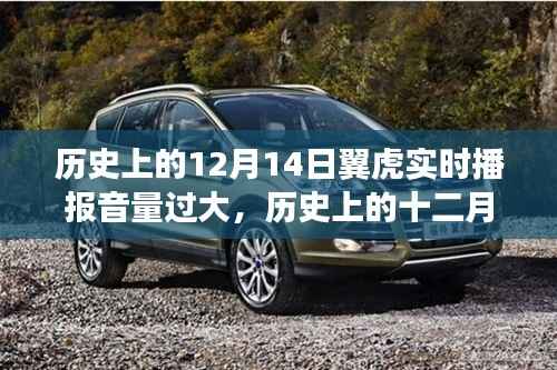 历史上的翼虎实时播报音量震荡事件回顾,12月14日回顾与展望