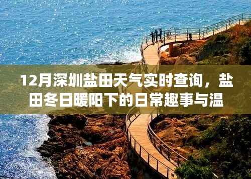 深圳盐田冬季天气实时查询,暖阳下的日常趣事与温情时光