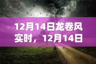 12月14日龙卷风实时报道,天灾之舞,时代的记忆标签
