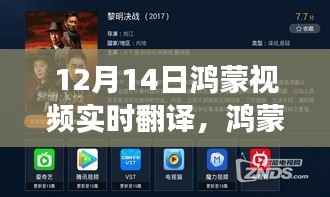 鸿蒙视频实时翻译技术,开启全球无障碍视频交流新时代