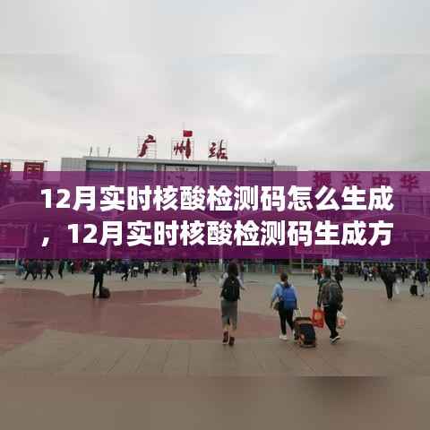 深入解析与观点阐述,12月实时核酸检测码的生成方法