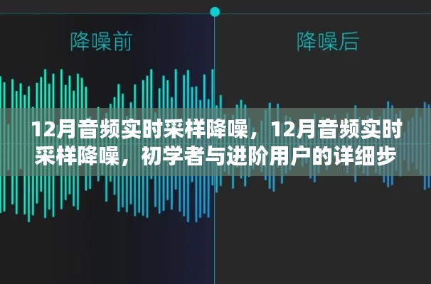 12月音频实时采样降噪,从初学者到进阶用户的详细步骤指南