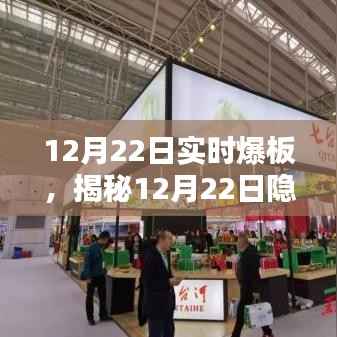 揭秘神秘爆板店,味蕾与心灵的双重盛宴——12月22日实时探店体验