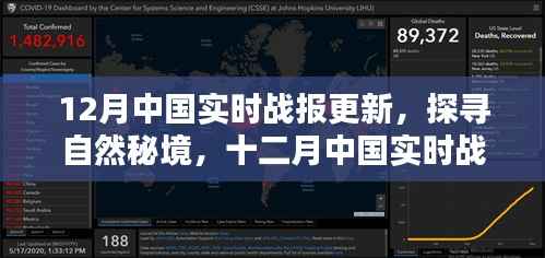 十二月中国实时战报更新,探寻自然秘境,启程寻找内心的桃花源