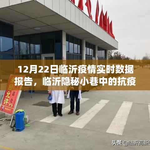 临沂疫情实时报告,隐秘小巷中的抗疫特色小店与数据背后的故事