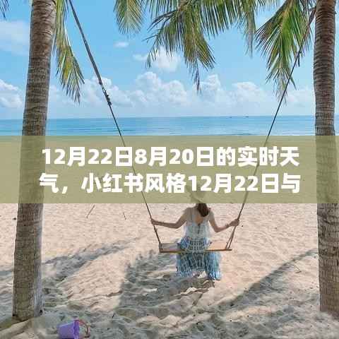 小红书风格揭秘,揭秘12月22日与8月20日天气实况,出行必备参考!