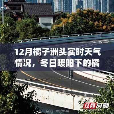 冬日暖阳下的橘子洲头,实时天气与心灵之旅