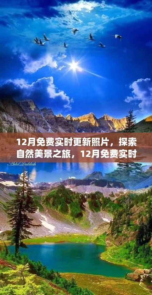12月免费实时更新照片,自然美景探索之旅,寻找内心平静之旅