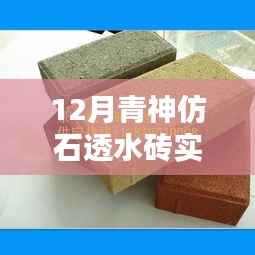 青神仿石透水砖深度测评与实时报价解析