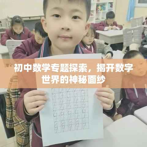 初中数学专题探索,揭开数字世界的神秘面纱