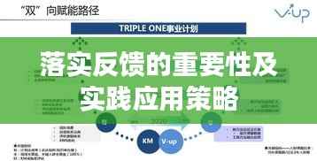 落实反馈的重要性及实践应用策略